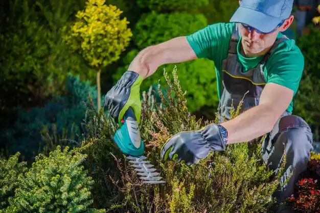 landscaping services Masury